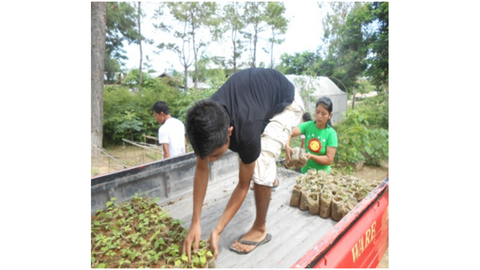 Plantation